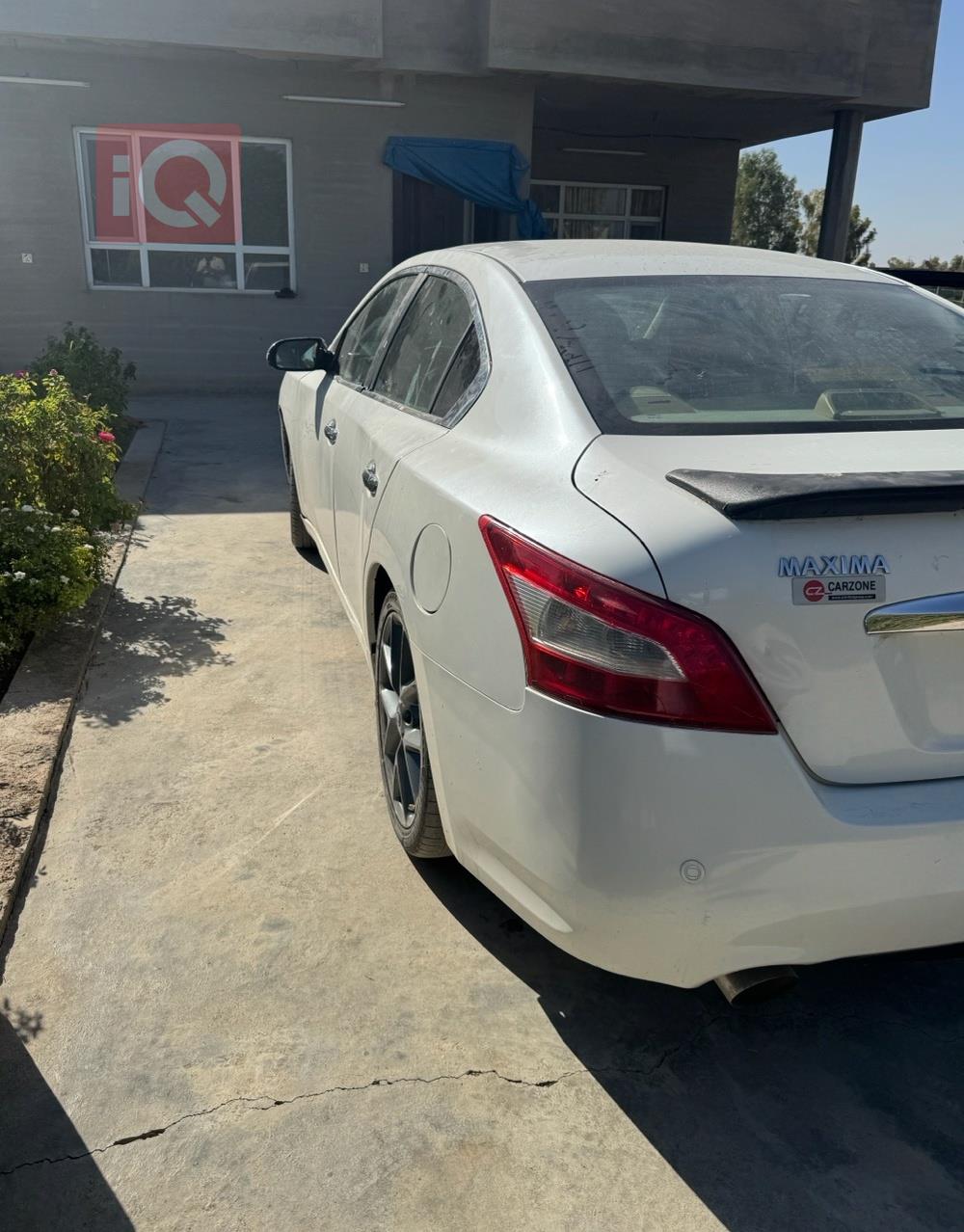 نيسان ماكسيما